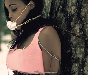 Natasha Blasick & Alana Forte nude - Playing with Dolls (2015)