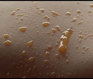 Olga Riazanova - Nectar