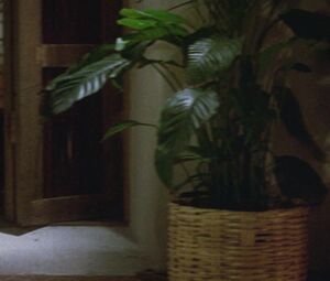 Rebecca De Mornay - And God Created Woman (1988)