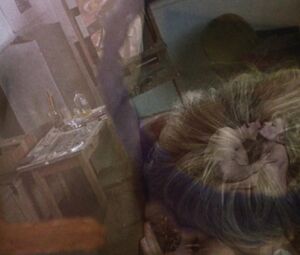 Rebecca De Mornay - And God Created Woman (1988)