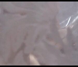 Salma Hayek - Breaking Up (1997)