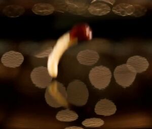 Sexiest Girls of Fast food Commercials - Charlotte McKinney Kate Upton Emily Rat.