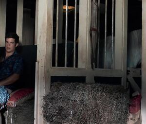 Sugar Lyn Beard nude, Aubrey Plaza naked, Anna Kendrick and Alice Wetterlund - Mike & Dave Need Wedding Dates (2016)