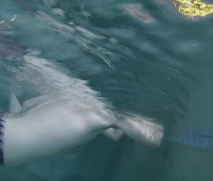 Judith Godreche & Taylor Schilling nude - The Overnight (2015)