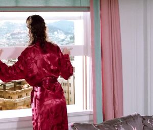 Kelly LeBrock nude - The Woman in Red (1984)