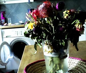 Zoe Bruneau nude - Adieu Au Langage (2014)