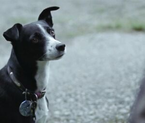 Helene Bergsholm nude โ Turn Me On Dammit (2011) HD