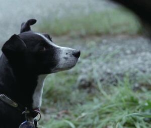 Helene Bergsholm nude โ Turn Me On Dammit (2011) HD