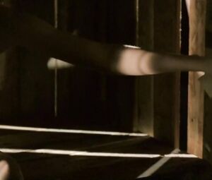 Arielle Kebbel sexy – Reeker (2005)