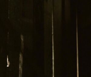 Arielle Kebbel sexy – Reeker (2005)