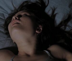 Arielle Kebbel nude, Emily Browning sexy, Elizabeth Banks sexy – The Uninvited (2009)