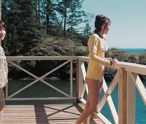 Arielle Kebbel nude, Emily Browning sexy, Elizabeth Banks sexy – The Uninvited (2009)