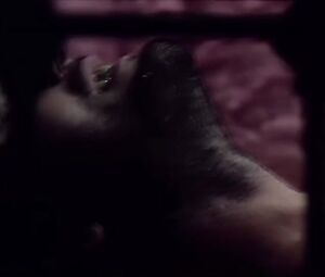 Lina Romay nude, Alice Arno nude – The Hot Nights of Linda (1975)