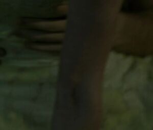 Lynn Collins nude – Uncertainty (2009)