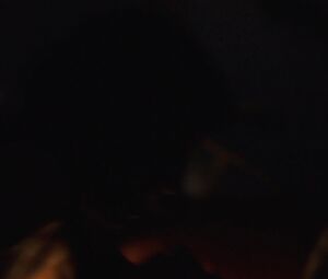 Jody Balfour Nude - Rellik s01e05 (2017)