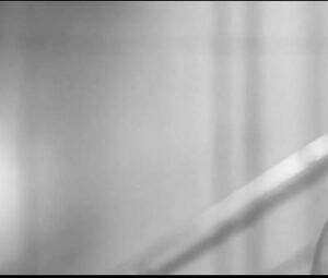 Chloe Grace Moretz Sexy - I Love You, Daddy (2017)