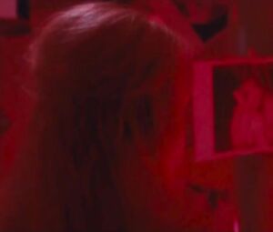 Jaanika Arum Nude - Polaarpoiss (2016)