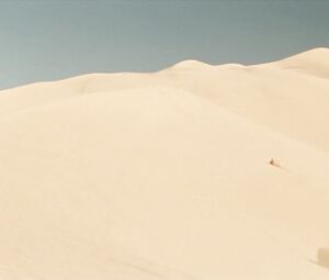 Ali Gage Nude - Zwischenspiel.(2003)