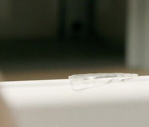 Alexandra Borbely Nude - On Body and Soul (2017)