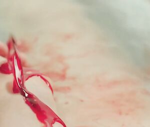 Alexandra Borbely Nude - On Body and Soul (2017)