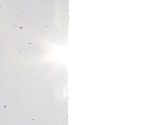 Ireland Baldwin Nude - TREATS (2016)