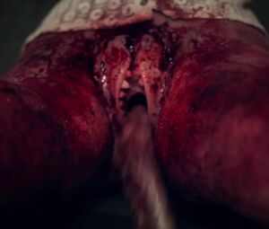 Nicola Fiore, Toni Ann Gambale Nude - Night of Something Strange (2016)