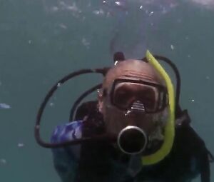 Alexandra Paul Sexy - Baywatch Hawaiian Wedding (2003)