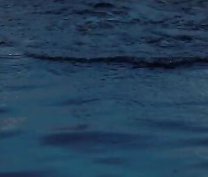 Anne Hathaway Sexy - One Day (2011)