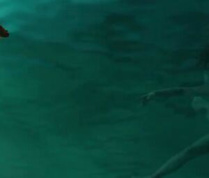 Evan Rachel Wood, T.V. Carpio Sexy - Across the Universe (2007)