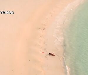 Salma Hayek Sexy - After The Sunset (2004)