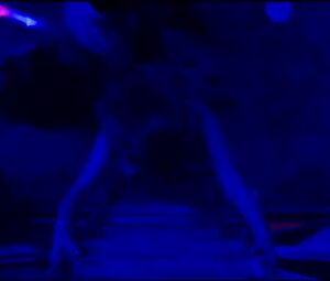 Sarah Dumont, Halston Sage Sexy - Scouts Guide to the Zombie Apocalypse (2015)