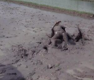 Pam Grier Nude - The Big Doll House (1971)