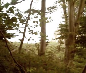 Christiane Schaumburg-Muller Nude - Over Kanten (2012)