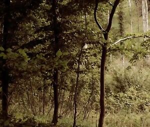 Christiane Schaumburg-Muller Nude - Over Kanten (2012)