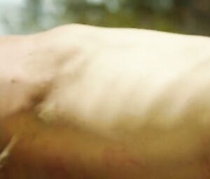 Dreya Weber, Traci Dinwiddie Nude - Raven's Touch (2015)