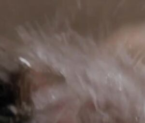 Gabrielle Anwar Nude - Body Snatchers (1993)