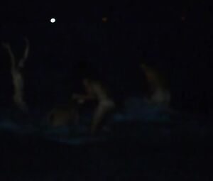 Isabelle Ryan naked, Léa Moszkowicz Nude - Happy (2015)