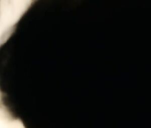 Isabelle Ryan naked, Léa Moszkowicz Nude - Happy (2015)