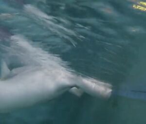 Judith Godreche, Taylor Schilling Nude - The Overnight (2015)