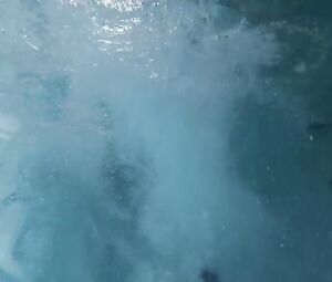 Judith Godreche, Taylor Schilling Nude - The Overnight (2015)