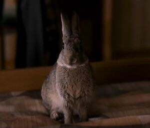 Julie Gayet Nude - Le lievre de Vatanen (2006)