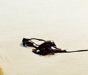 Nathalia Dill, Lívia De Bueno Nude - Paraísos Artificiais (BR 2012)