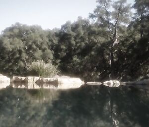 Olivia Macklin, etc Nude - The Young Pope s01e07-08 (2016)