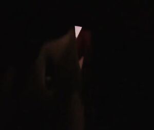 Sarah Laine, Nikki Griffin, Sandra McCoy - Wild Things - Diamonds in the Rough