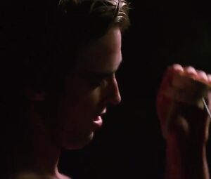 Sarah Laine, Nikki Griffin, Sandra McCoy - Wild Things - Diamonds in the Rough