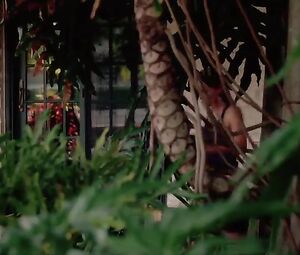 Sarah Laine, Nikki Griffin, Sandra McCoy - Wild Things - Diamonds in the Rough