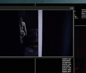 Sasha Grey - Open Windows (2014)