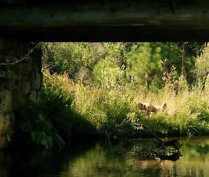 Zoe Kravitz Nude - The Road Within (2014)