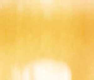 Jena Malone Nude - The Shoe - Dead Rabbit Hopes (2014)