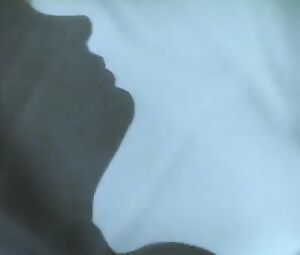 Susan Sarandon, Catherine Deneuve Nude - The Hunger (1983)